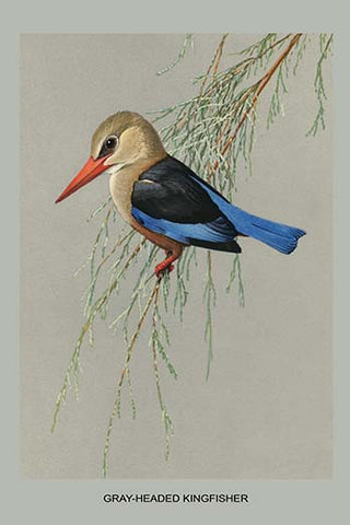 Whisper please, Image is sleeping.