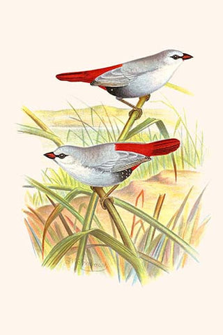 Whisper please, Image is sleeping.