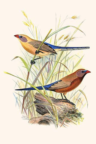 Whisper please, Image is sleeping.