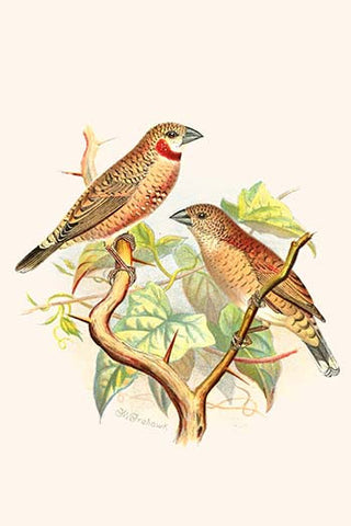 Whisper please, Image is sleeping.