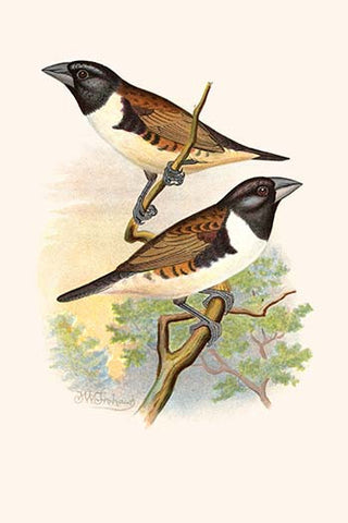 Whisper please, Image is sleeping.