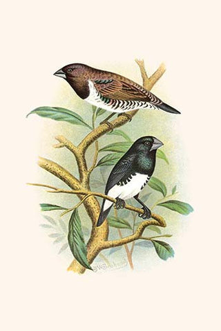 Whisper please, Image is sleeping.