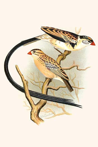 Whisper please, Image is sleeping.