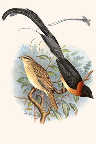 Whisper please, Image is sleeping.