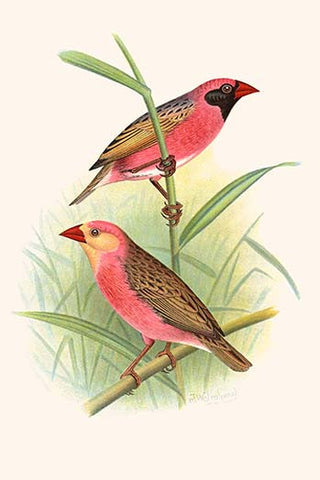 Whisper please, Image is sleeping.