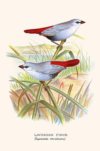 Whisper please, Image is sleeping.