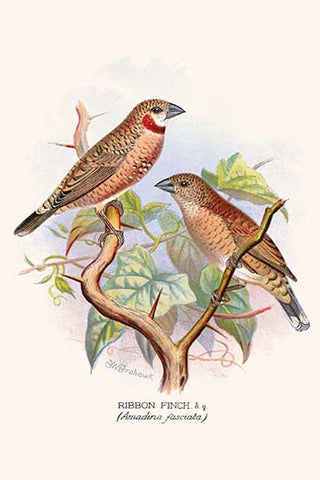 Whisper please, Image is sleeping.