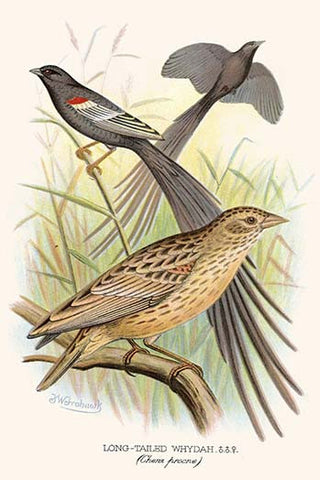 Whisper please, Image is sleeping.