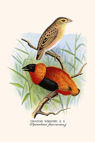 Whisper please, Image is sleeping.