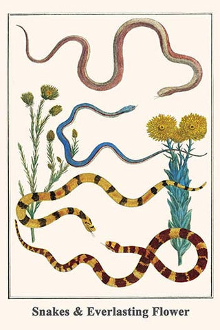 Whisper please, Image is sleeping.