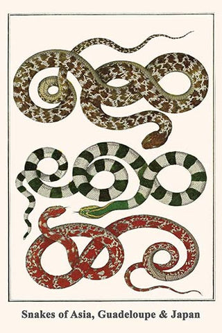 Whisper please, Image is sleeping.