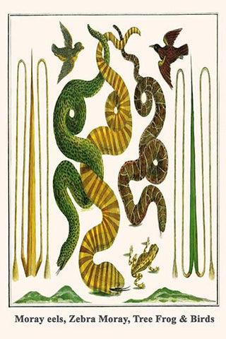 Whisper please, Image is sleeping.