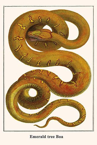 Whisper please, Image is sleeping.