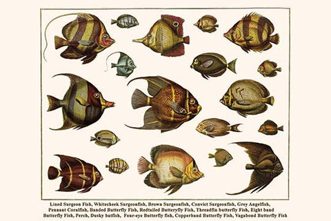 Whisper please, Image is sleeping.