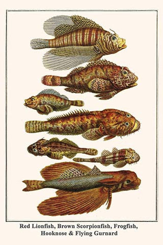 Whisper please, Image is sleeping.