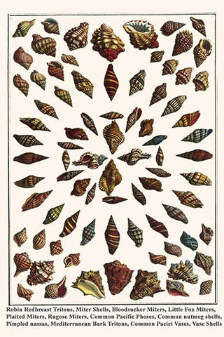 Whisper please, Image is sleeping.