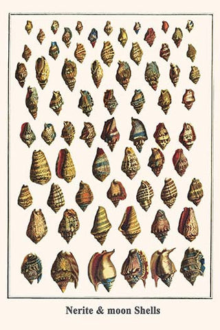 Whisper please, Image is sleeping.