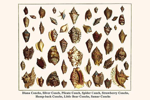 Whisper please, Image is sleeping.