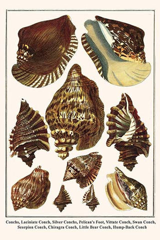 Whisper please, Image is sleeping.