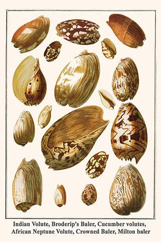 Whisper please, Image is sleeping.