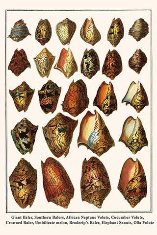 Whisper please, Image is sleeping.