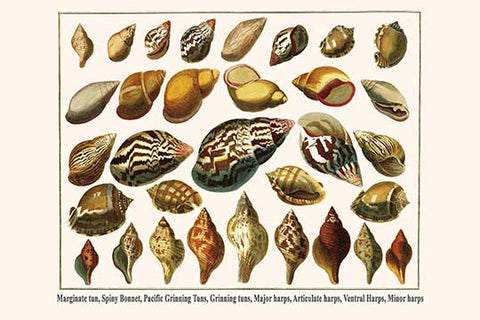 Whisper please, Image is sleeping.