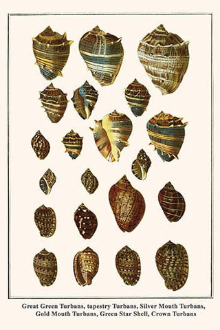 Whisper please, Image is sleeping.