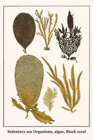 Whisper please, Image is sleeping.