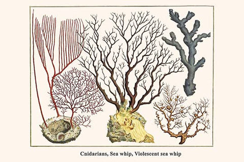 Whisper please, Image is sleeping.