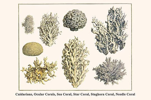 Whisper please, Image is sleeping.