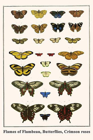 Whisper please, Image is sleeping.