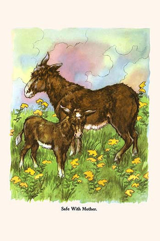 Whisper please, Image is sleeping.