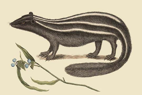 Whisper please, Image is sleeping.