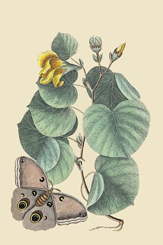 Whisper please, Image is sleeping.