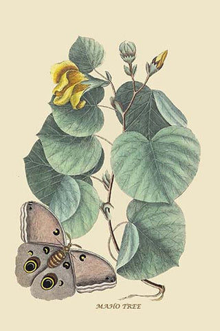 Whisper please, Image is sleeping.