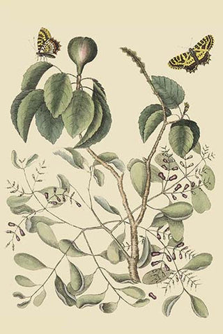 Whisper please, Image is sleeping.