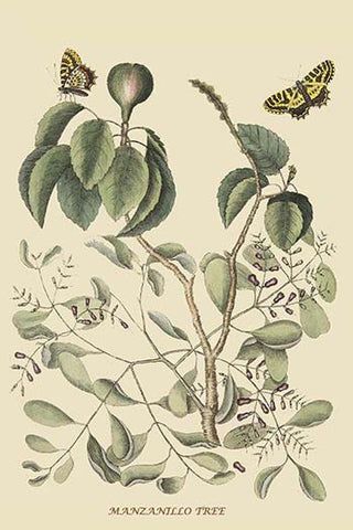 Whisper please, Image is sleeping.