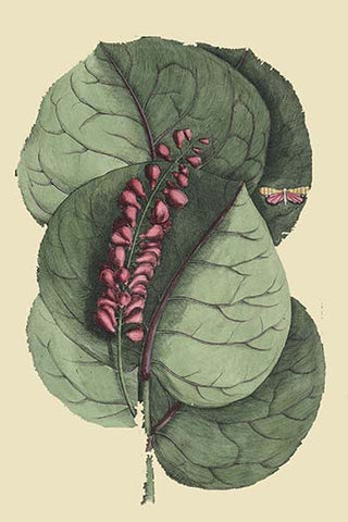 Whisper please, Image is sleeping.