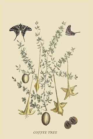 Whisper please, Image is sleeping.