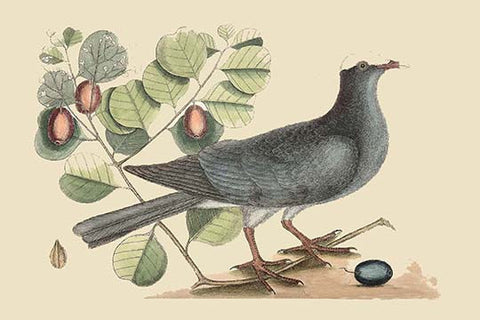 Whisper please, Image is sleeping.