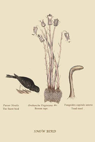 Whisper please, Image is sleeping.