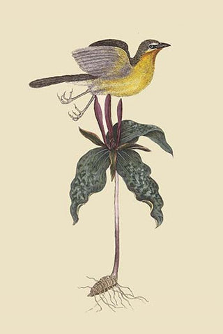 Whisper please, Image is sleeping.