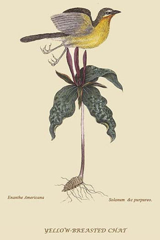 Whisper please, Image is sleeping.