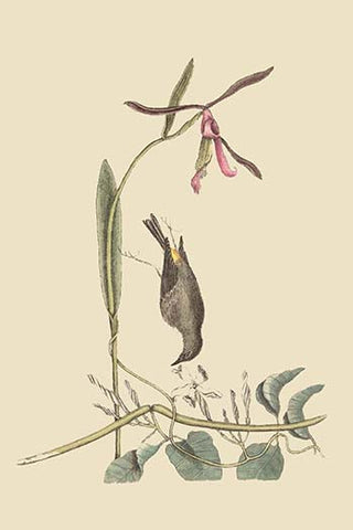 Whisper please, Image is sleeping.