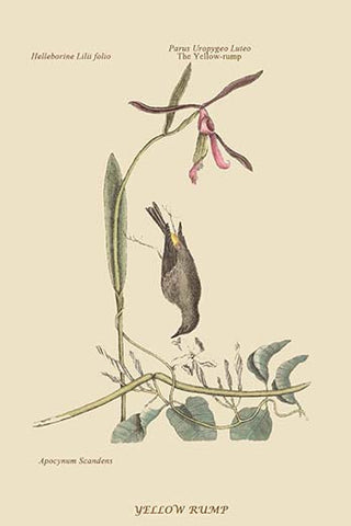 Whisper please, Image is sleeping.