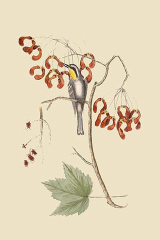 Whisper please, Image is sleeping.