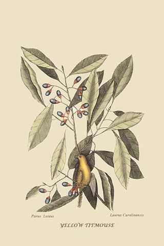 Whisper please, Image is sleeping.