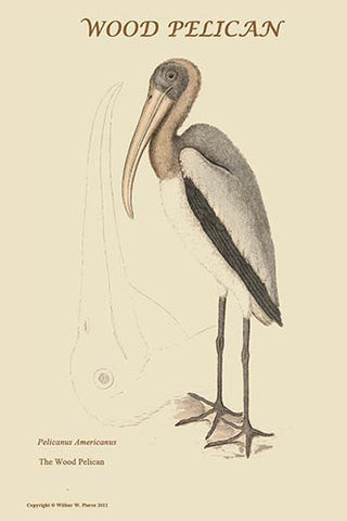 Whisper please, Image is sleeping.