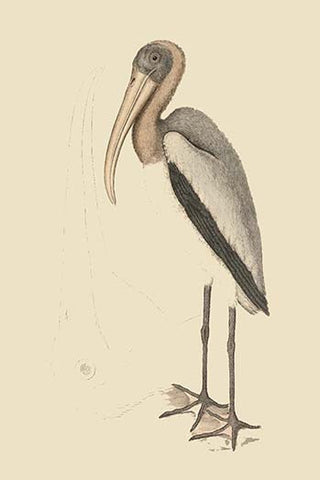 Whisper please, Image is sleeping.