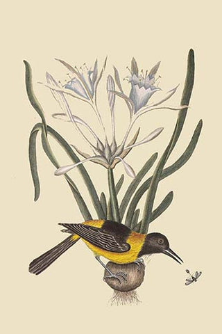 Whisper please, Image is sleeping.